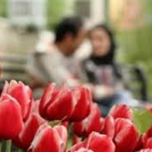 ملاک های ازدواج موفق از دیدگاه دکتر فرهنگ هلاکویی (قسمت چهارم)